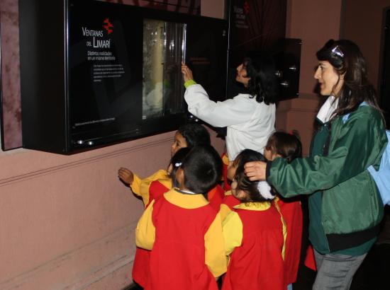 Visita a Museo del Limarí